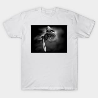 Viking warrior T-Shirt